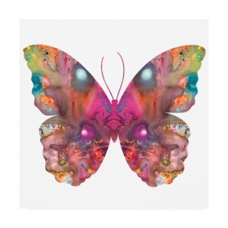 Dean Russo 'Abstract I Butterfly' Canvas Art,24x24